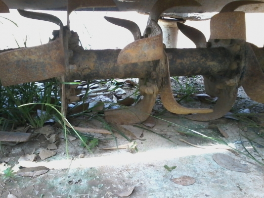 ขายโรโตรี่