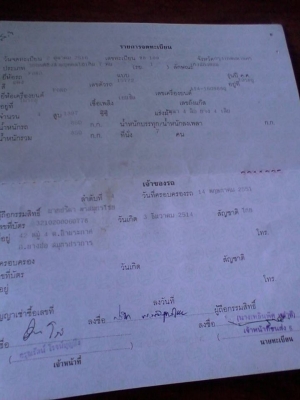 Ford Escort 3 Dr. Ford Escort 3 Dr.