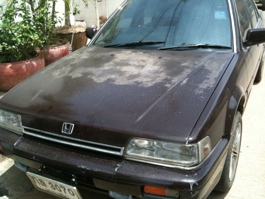 ซาก Accord 89 ซาก Accord 89