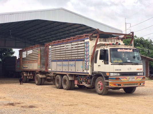 ขายด่วน18ล้อพ่วงดั้มปิเนียม 260 แรง สมอทองตัวสุดท้าย ปี 46ราคาถูกๆดั้มซุ่นชัย