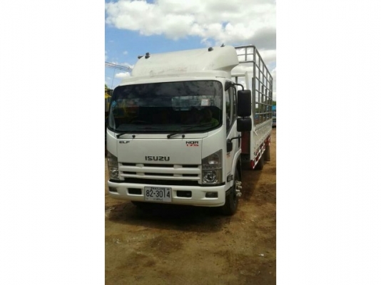 ขายNQR 175แรง ยาว5.50เมตร เครื่องดี แคชซีสวย ยางดี ภายในสวย แอร์เย็น เอกสารพร้อมโอน