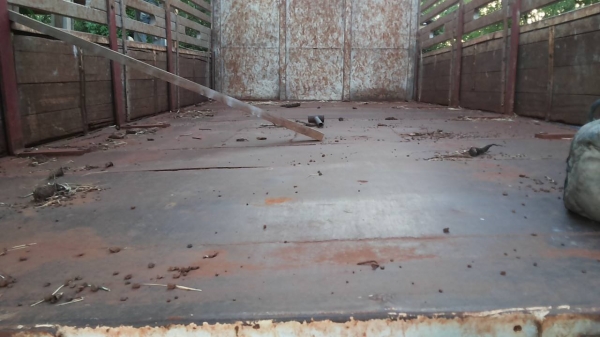 **470,000 บ.ต่อรอง**ขาย6ล้อช่วงยาว ISUZU ROCKY FSR11H 6BD1-165HP ห้างแท้ปี36/93 เครื่องเดิมเกียร์เดิม 165แรง6สูบ แน่นๆ แรงๆ อึดทน เกียร์ใหญ่ทนไม่หลุด ช่วงล่างเดิม คัสซีสวยเดิม ไม่ปะไม่ดาม ไม่มีบวม กระบะต่อใหม่ ยาว5.0ม. พื้นเหล็กตงเหล็กคอกเหล็กกล่องสภาพี พ