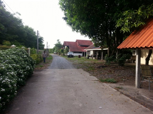 เกสเฮ้าส์ รีสอร์ท