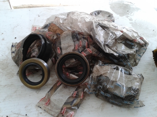 ซิลโอริง