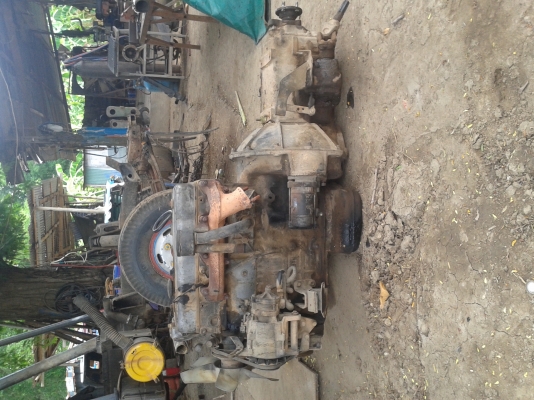 ขายหัว  TL