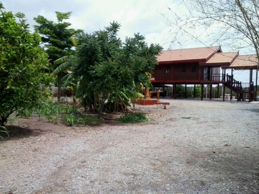 **** ขายบ้านพร้อมที่ดิน 1 ไร่ ****