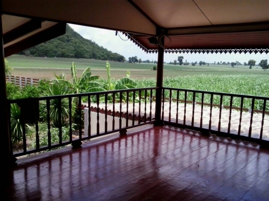 **** ขายบ้านพร้อมที่ดิน 1 ไร่ ****