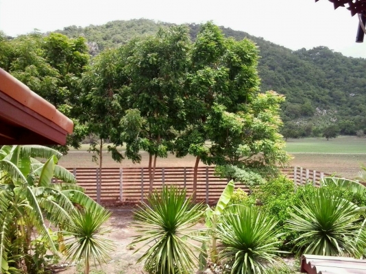 **** ขายบ้านพร้อมที่ดิน 1 ไร่ ****