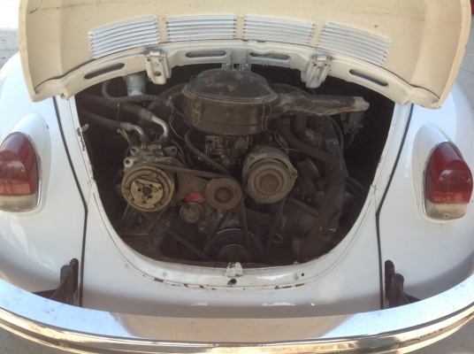 รถเต่า Volk