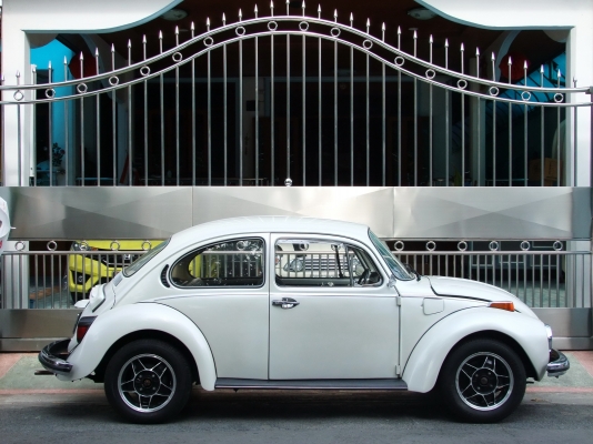 ขายโฟล์คเต่า1303หน้าโหนก กระจกโค้ง ขายโฟล์คเต่า1303หน้าโหนก กระจกโค้ง