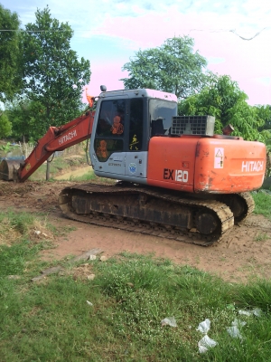 ขายบุ้งกี๋100-120 ขายบุ้งกี๋100-120