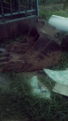 ขายบุ้งกี๋100-120 ขายบุ้งกี๋100-120