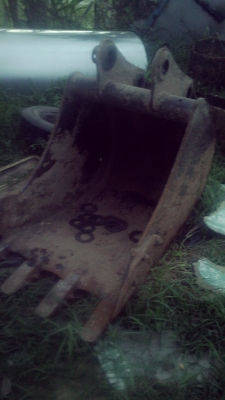 ขายบุ้งกี๋100-120 ขายบุ้งกี๋100-120