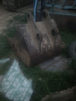 ขายบุ้งกี๋100-120 ขายบุ้งกี๋100-120