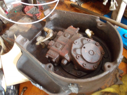 ขายตัวเดิน D2 ขายตัวเดิน D2