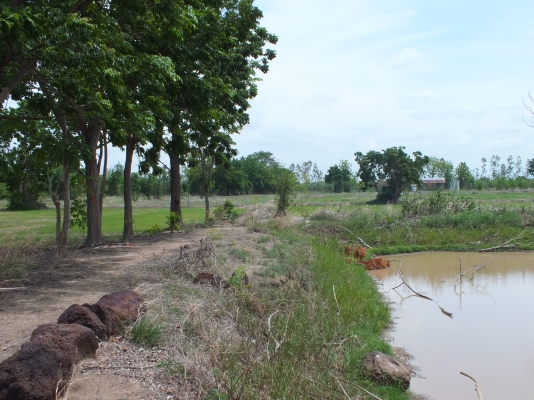 ขายที่ดิน ขายที่ดิน