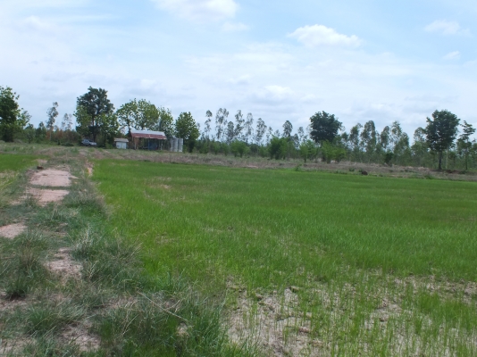 ขายที่ดิน ขายที่ดิน