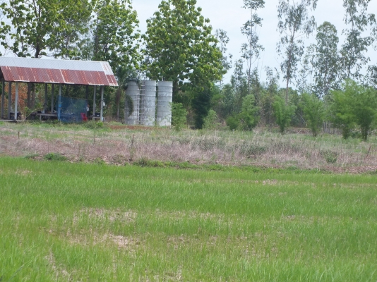 ขายที่ดิน ขายที่ดิน