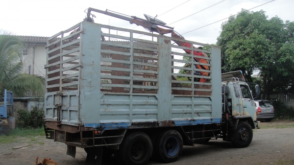 10ล้อ JCM หัว ROCKY พร้อมเฮี๊ยบ3ตัน สวยพร้อมใช้ ราคาถูก