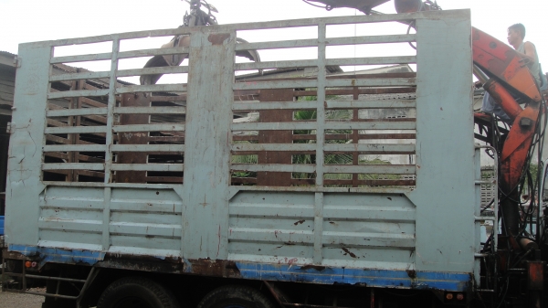 10ล้อ JCM หัว ROCKY พร้อมเฮี๊ยบ3ตัน สวยพร้อมใช้ ราคาถูก