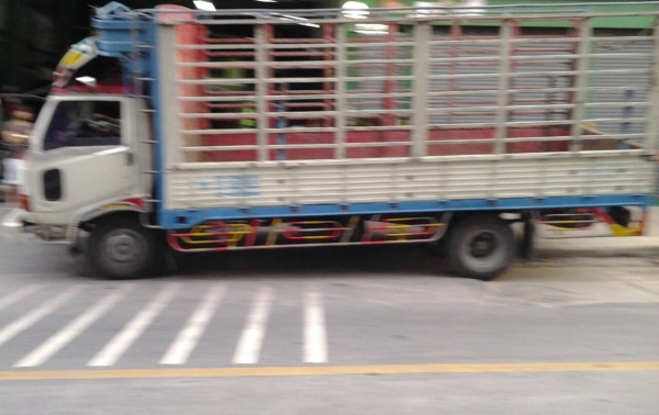 ขาย รถบรรทุก 6 ล้อ 120แรง ยาว 5.5 เมตร ขาย รถบรรทุก 6 ล้อ 120แรง ยาว 5.5 เมตร