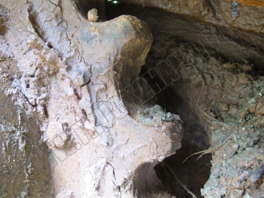 รถแบคโฮ CAT REGA 311B รถแบคโฮ CAT REGA 311B