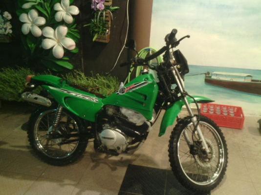 ขายวิบาก แพตตินั้ท 175c