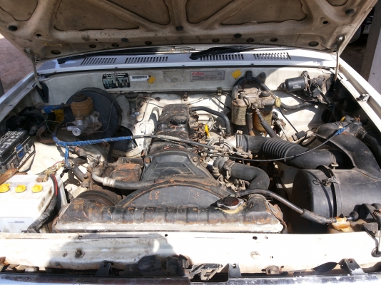 ไมตี้แคบ สวยเดิม ๆ ไมตี้แคบ สวยเดิม ๆ