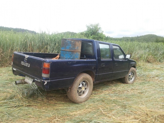 ขายถูก Izusu 97 มังกร ขายถูก Izusu 97 มังกร