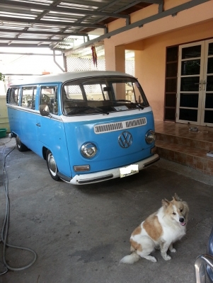 ขายแตงโม Deluxe แท้