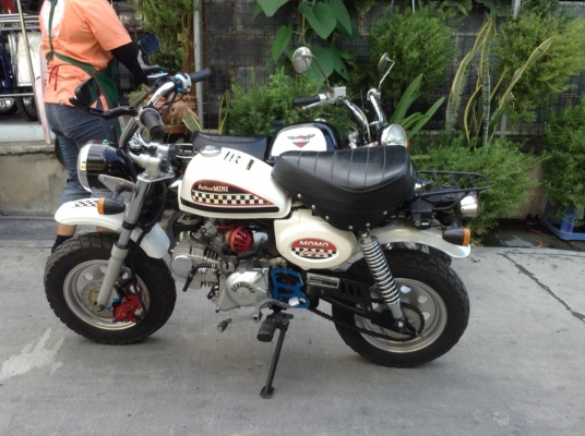 Stallion Mini 125 cc