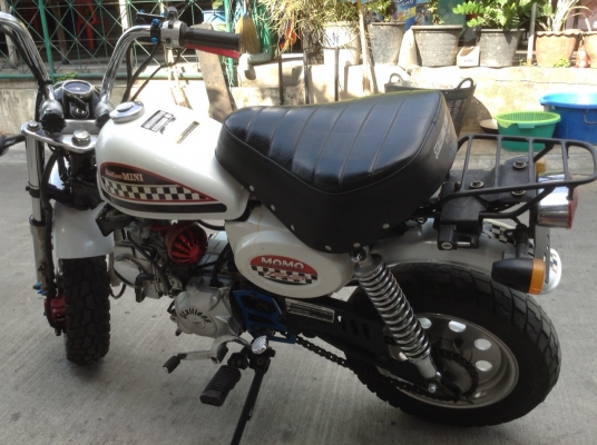 Stallion Mini 125 cc