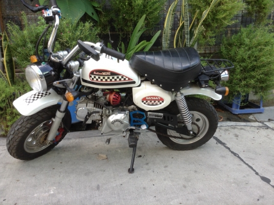 Stallion Mini 125 cc