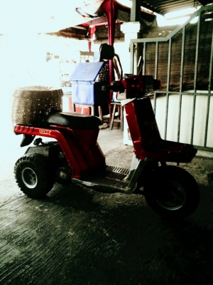 ขายสามล้อ honda ygro x 9500บาท ขายสามล้อ honda ygro x 9500บาท