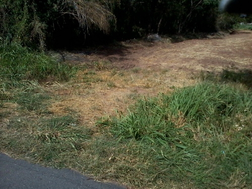 ขายที่ดินสร้างโรงงาน 3 ไร่ ติดทางหลวง 201 กม.15 อ.สีคิ้ว ขายที่ดินสร้างโรงงาน 3 ไร่ ติดทางหลวง 201 กม.15 อ.สีคิ้ว