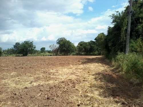 ขายที่ดินสร้างโรงงาน 3 ไร่ ติดทางหลวง 201 กม.15 อ.สีคิ้ว ขายที่ดินสร้างโรงงาน 3 ไร่ ติดทางหลวง 201 กม.15 อ.สีคิ้ว