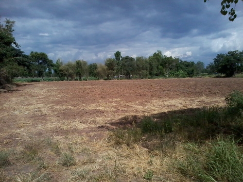 ขายที่ดินสร้างโรงงาน 3 ไร่ ติดทางหลวง 201 กม.15 อ.สีคิ้ว ขายที่ดินสร้างโรงงาน 3 ไร่ ติดทางหลวง 201 กม.15 อ.สีคิ้ว