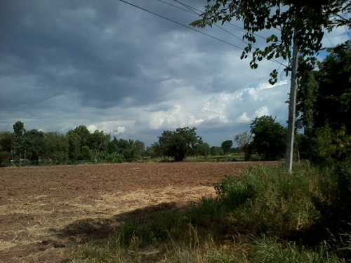 ขายที่ดินสร้างโรงงาน 3 ไร่ ติดทางหลวง 201 กม.15 อ.สีคิ้ว ขายที่ดินสร้างโรงงาน 3 ไร่ ติดทางหลวง 201 กม.15 อ.สีคิ้ว