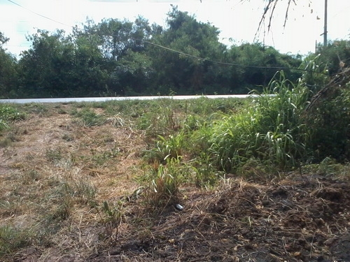 ขายที่ดินสร้างโรงงาน 3 ไร่ ติดทางหลวง 201 กม.15 อ.สีคิ้ว ขายที่ดินสร้างโรงงาน 3 ไร่ ติดทางหลวง 201 กม.15 อ.สีคิ้ว