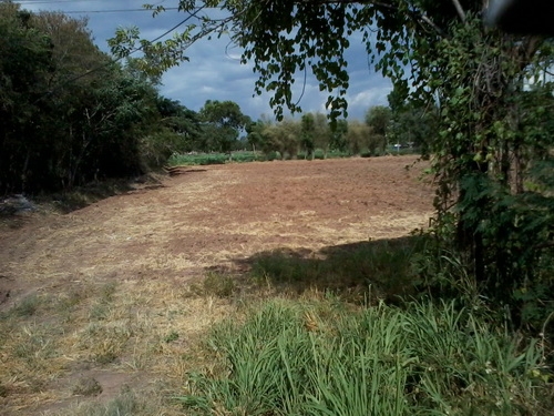 ขายที่ดินสร้างโรงงาน 3 ไร่ ติดทางหลวง 201 กม.15 อ.สีคิ้ว ขายที่ดินสร้างโรงงาน 3 ไร่ ติดทางหลวง 201 กม.15 อ.สีคิ้ว