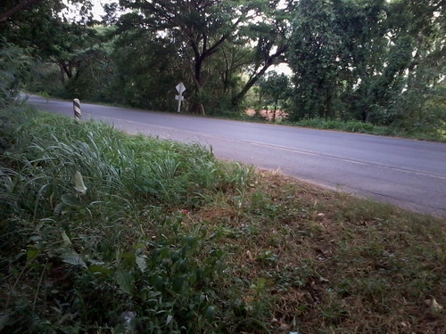 ขายที่ดินทำเลทอง 5-1-95 ไร่ ติดทางหลวง 201 กม.6 อ.สีคิ้ว ขายที่ดินทำเลทอง 5-1-95 ไร่ ติดทางหลวง 201 กม.6 อ.สีคิ้ว