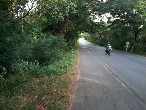 ขายที่ดินทำเลทอง 5-1-95 ไร่ ติดทางหลวง 201 กม.6 อ.สีคิ้ว ขายที่ดินทำเลทอง 5-1-95 ไร่ ติดทางหลวง 201 กม.6 อ.สีคิ้ว