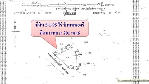 ขายที่ดินทำเลทอง 5-1-95 ไร่ ติดทางหลวง 201 กม.6 อ.สีคิ้ว ขายที่ดินทำเลทอง 5-1-95 ไร่ ติดทางหลวง 201 กม.6 อ.สีคิ้ว