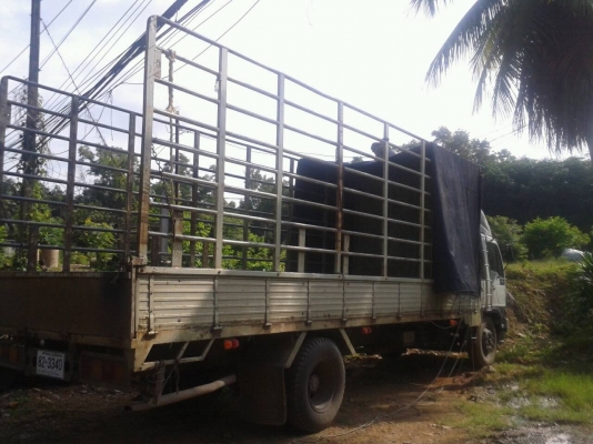 ขายรถ 6 ล้อ HINO FF 3H ช่วงยาวพิเศษ 7.5 เมตร กระจกไฟฟ้า เครื่องดี คัสซี่สวย เดิมบาง ขายรถ 6 ล้อ HINO FF 3H ช่วงยาวพิเศษ 7.5 เมตร กระจกไฟฟ้า เครื่องดี คัสซี่สวย เดิมบาง