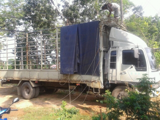 ขายรถ 6 ล้อ HINO FF 3H ช่วงยาวพิเศษ 7.5 เมตร กระจกไฟฟ้า เครื่องดี คัสซี่สวย เดิมบาง ขายรถ 6 ล้อ HINO FF 3H ช่วงยาวพิเศษ 7.5 เมตร กระจกไฟฟ้า เครื่องดี คัสซี่สวย เดิมบาง