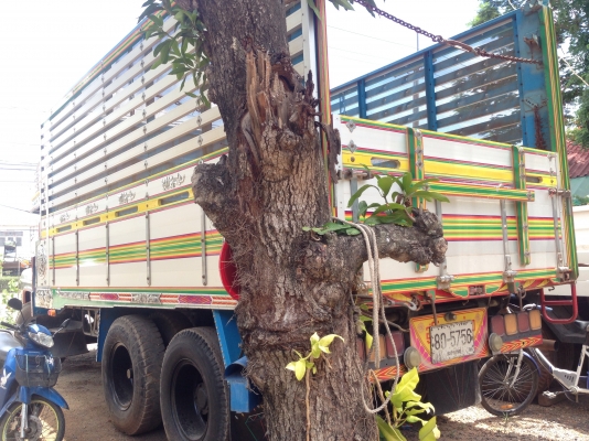 ขายด่วน สภาพดี เอกสารครบ