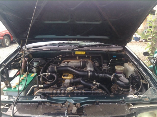 ขายครับดราก้อน4x4งามๆชุดโฟร์ใช้งานปกติจดทะเบียนปี42สีบางๆหน้าเดิมครับขายที่16500ขอรูปเพิ่มเติมใด้ครับ ขายครับดราก้อน4x4งามๆชุดโฟร์ใช้งานปกติจดทะเบียนปี42สีบางๆหน้าเดิมครับขายที่16500ขอรูปเพิ่มเติมใด้ครับ