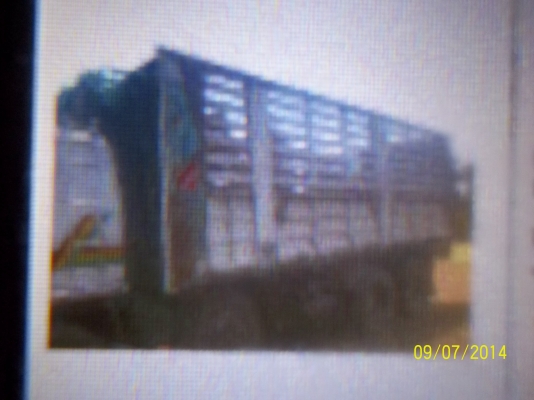 ขายพ่วง 320 แรง ไม่ดั้ม 20 ล้อ