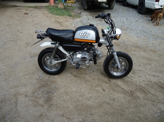 กอลิล่า  stallion 125  cc  ทะเทียนแท้ โอนขนส่ง   เล่ม  มือเดียว   ราคา 16000