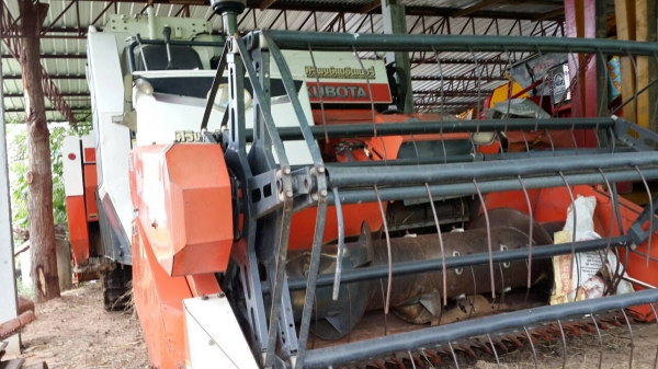 ขายรถเกี่ยวข้าว คูโบต้า แพ็คคุ่ DC60 สภาพพร้อมใช้งาน เครื่องดี ใช้งานทุกปี ช่วงล่างดี ตู้สีดี